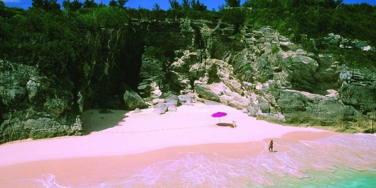 Pink Sands