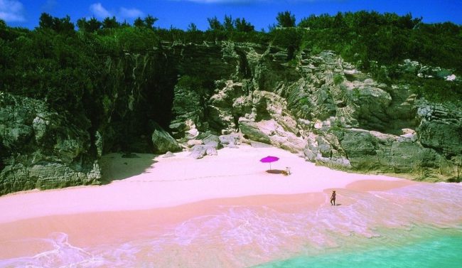 Pink Sands